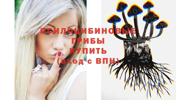 соль ск Тобольск